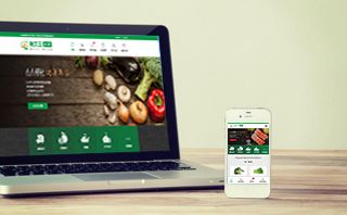 未成年人网络保护条例